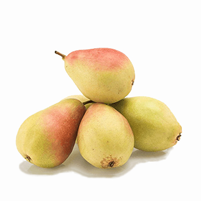 santamaria